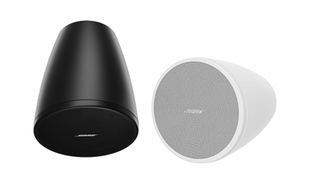BOSE DM6PE 垂吊扬声器